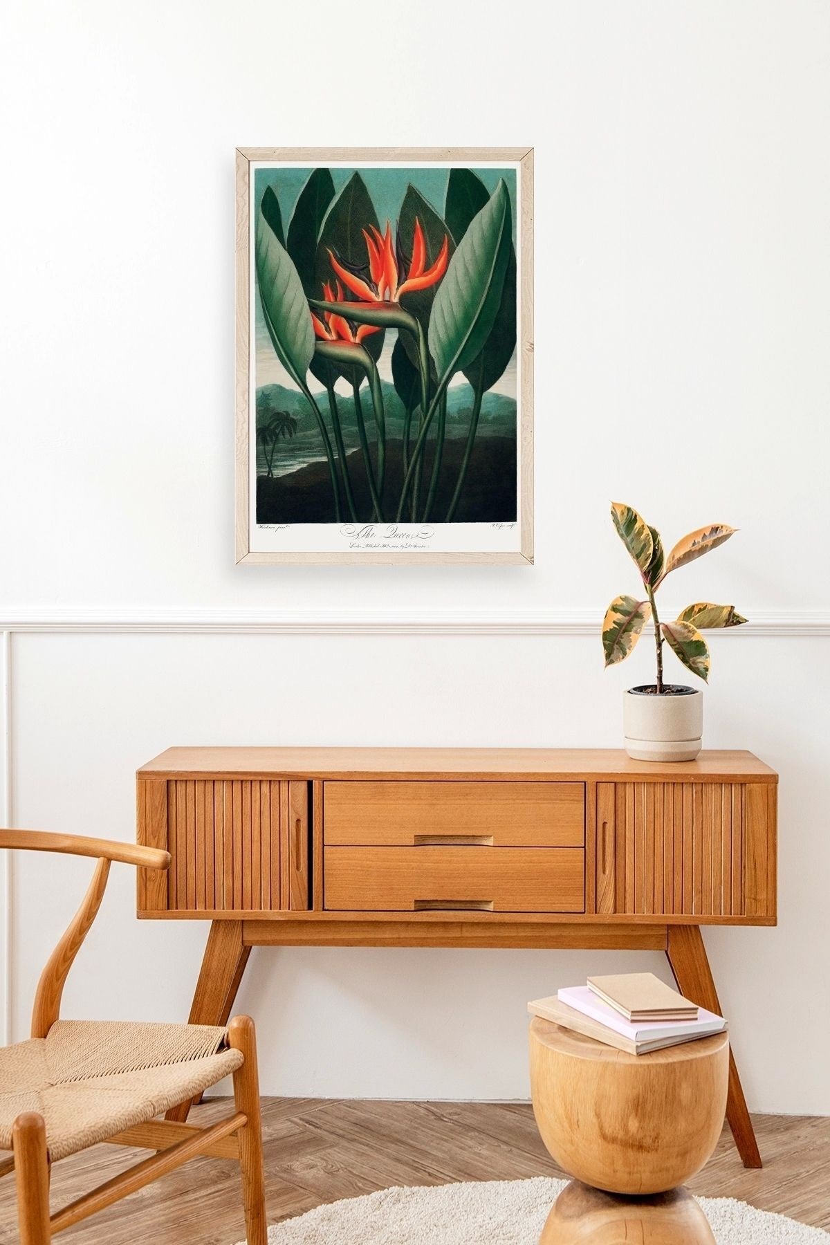 The Queen Plant Ahşap Çerçeveli Tablo 23 x 30