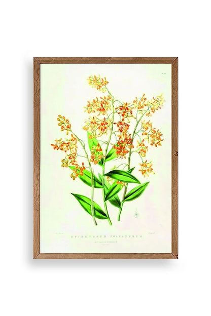 Çiçek Ahşap Çerçeveli Tablo 30 x 42