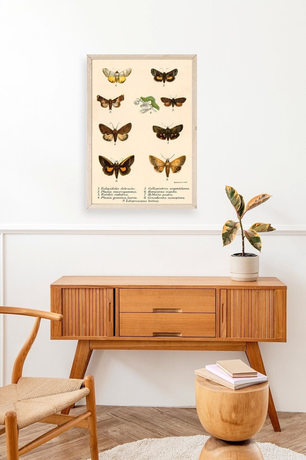 Kelebekler Ahşap Çerçeveli Tablo 50 x 70