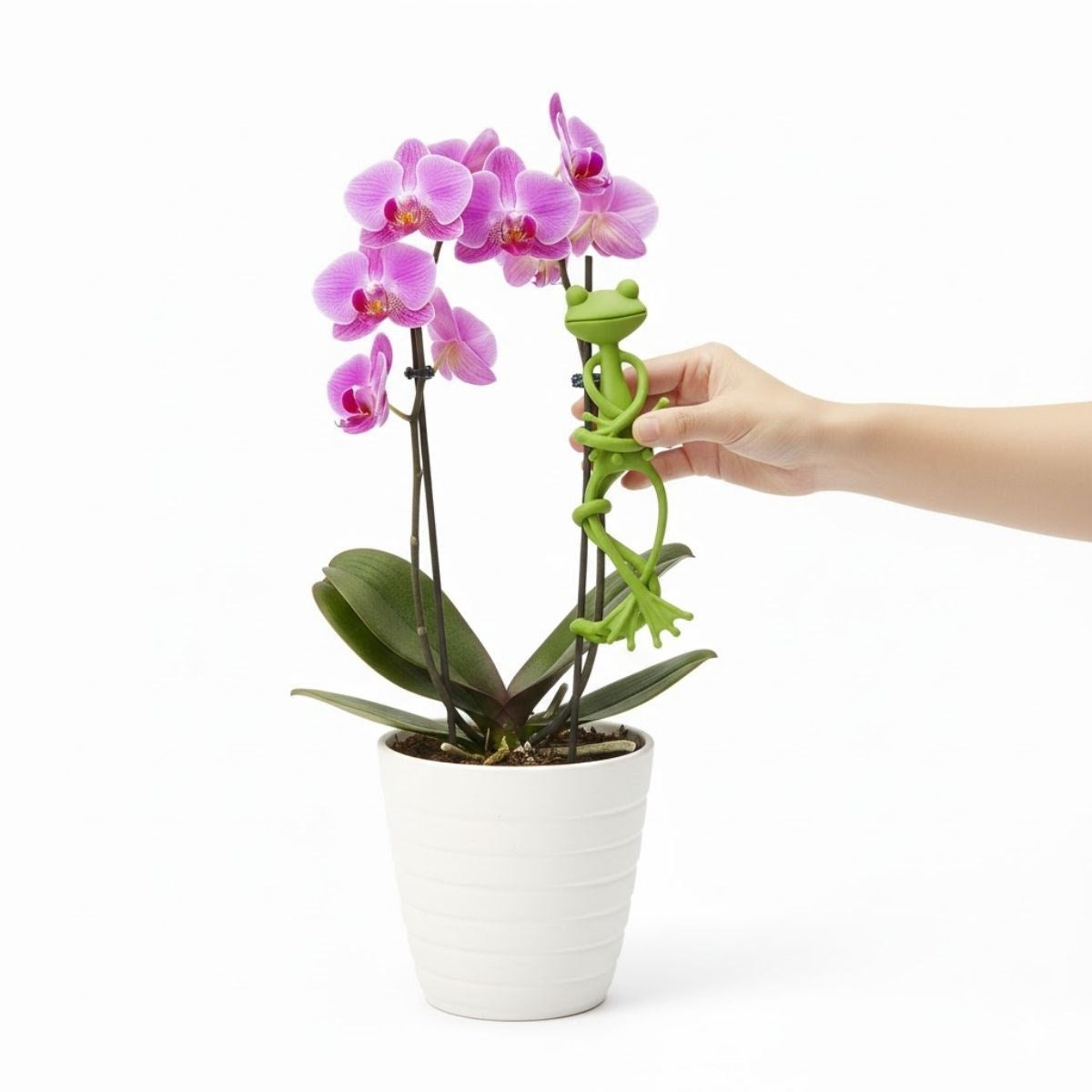 BUFFER® Kurbağa Şeklinde Bitki Sabitleyici – Bahçe ve İç Mekan Bitkileri İçin Dal ve Gövde Destek Aparatı, Çok Amaçlı Bitki Tutucu Klips