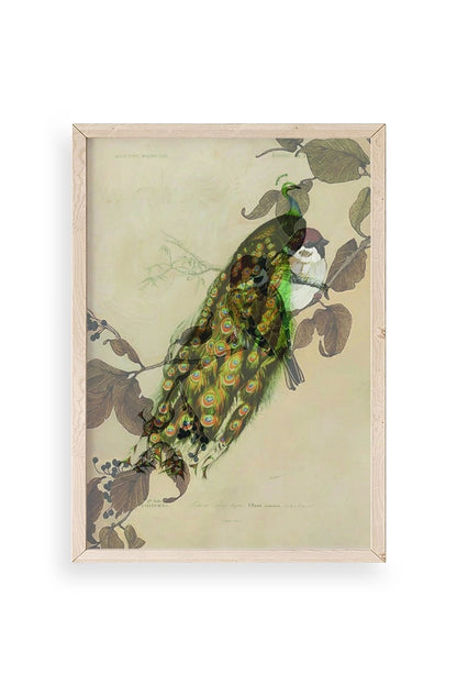 Kuş Ahşap Çerçeveli Tablo 17 x 23