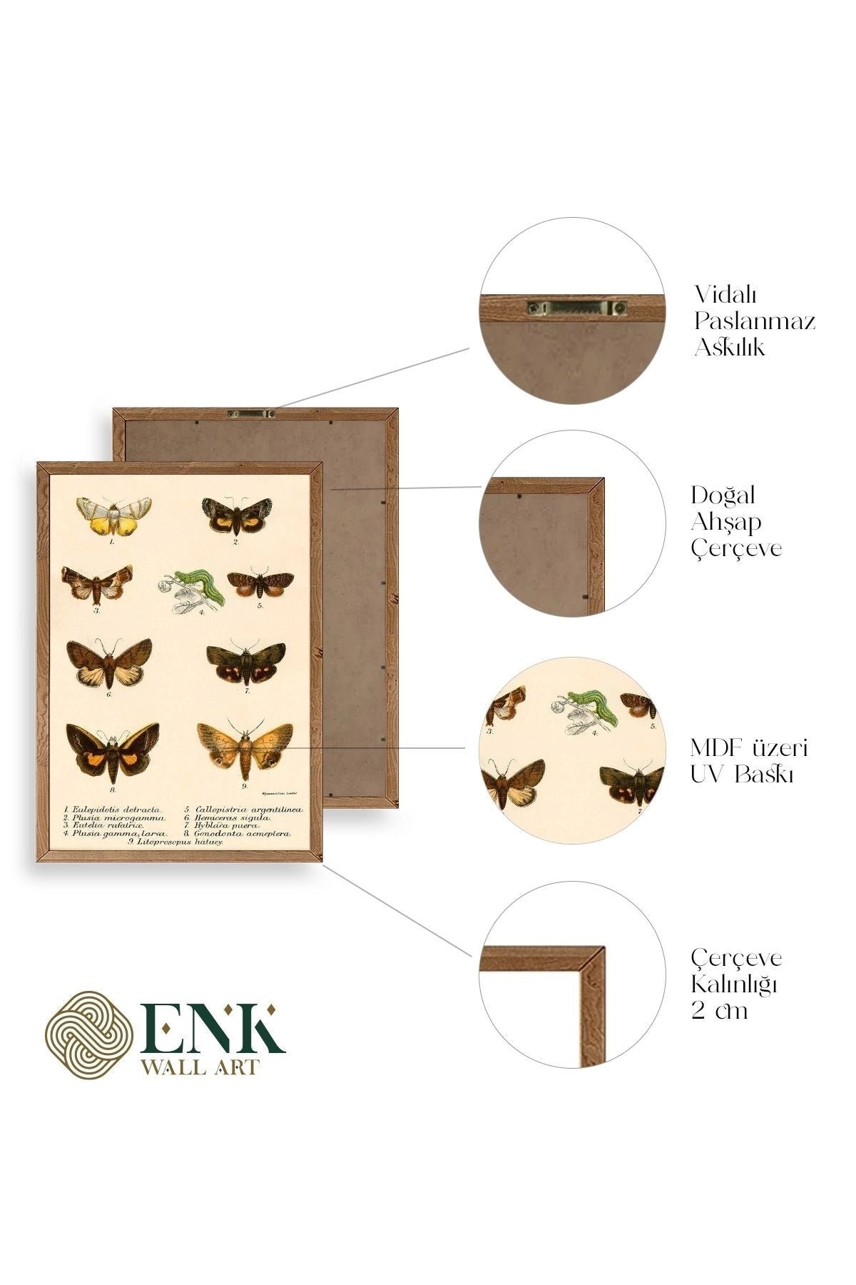 Kelebekler Ahşap Çerçeveli Tablo 17 x 23