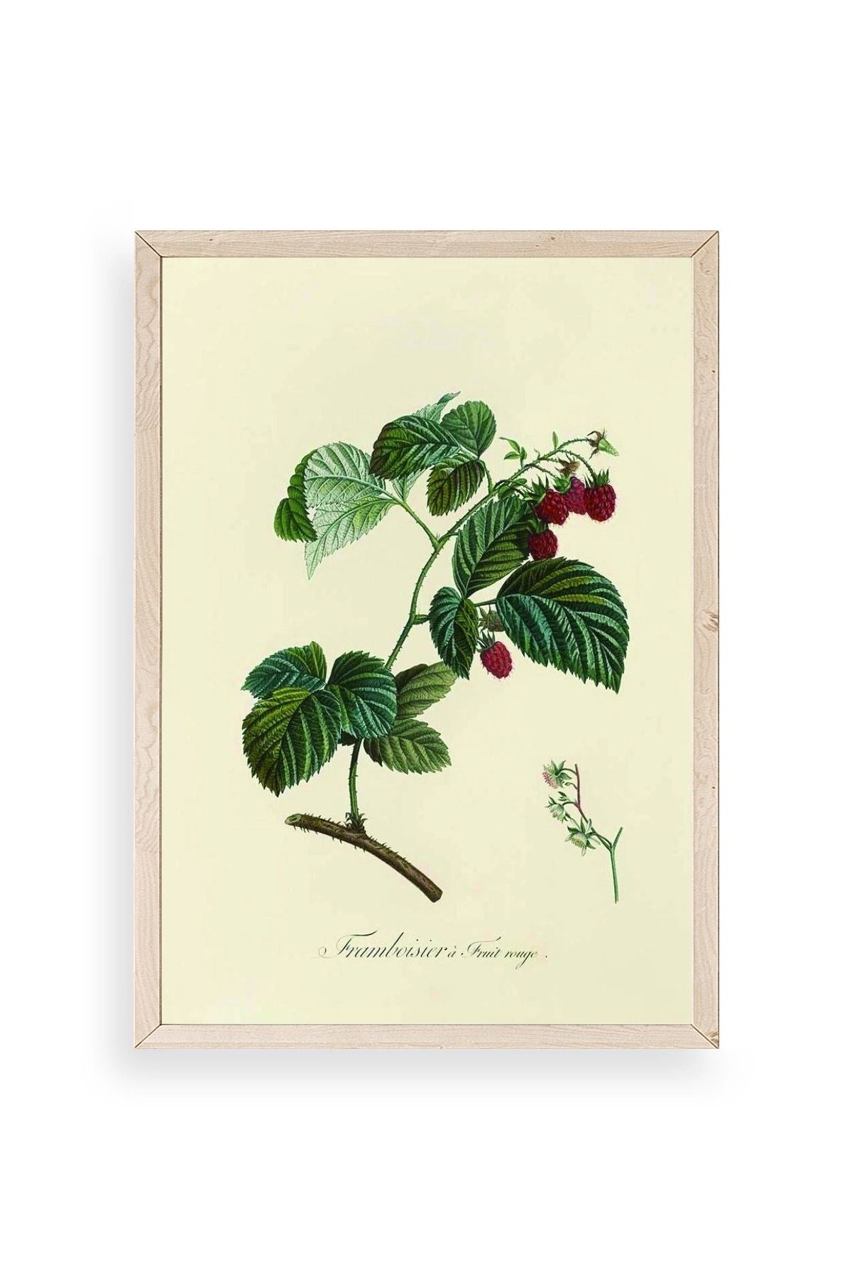 Yaprak Ahşap Çerçeveli Tablo 50 x 70