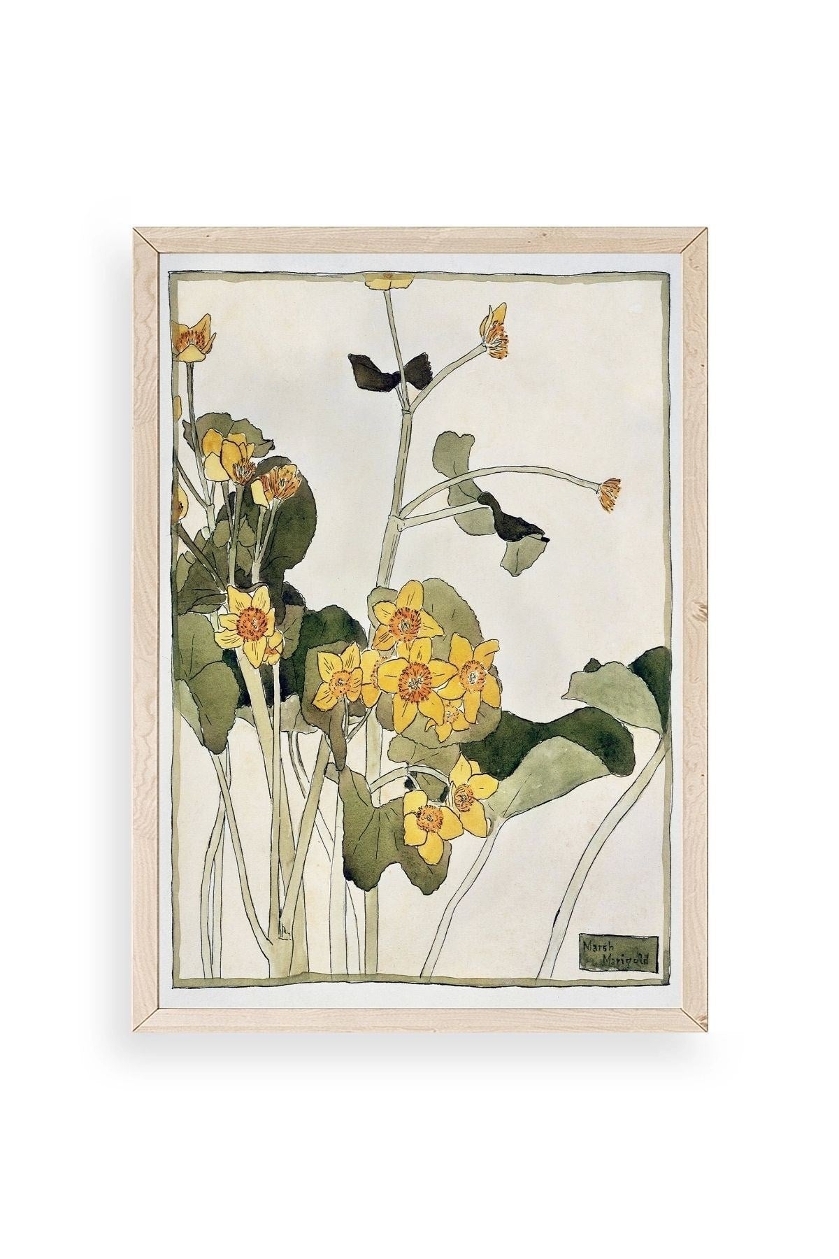 Marsh Marigold Ahşap Çerçeveli Tablo 50 x 70