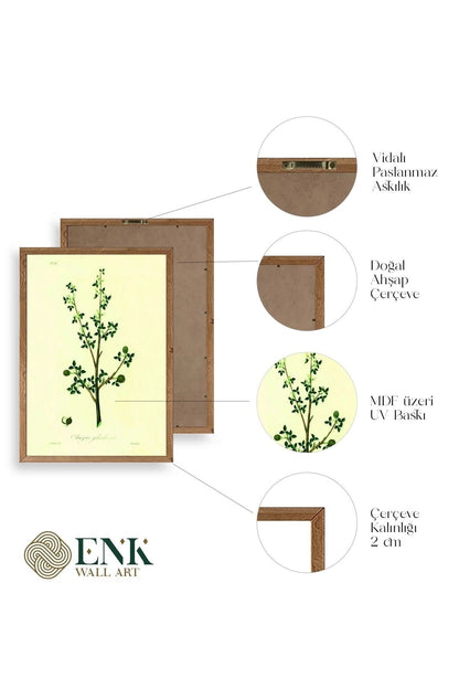 Yapraklar Ahşap Çerçeveli Tablo 23 x 30