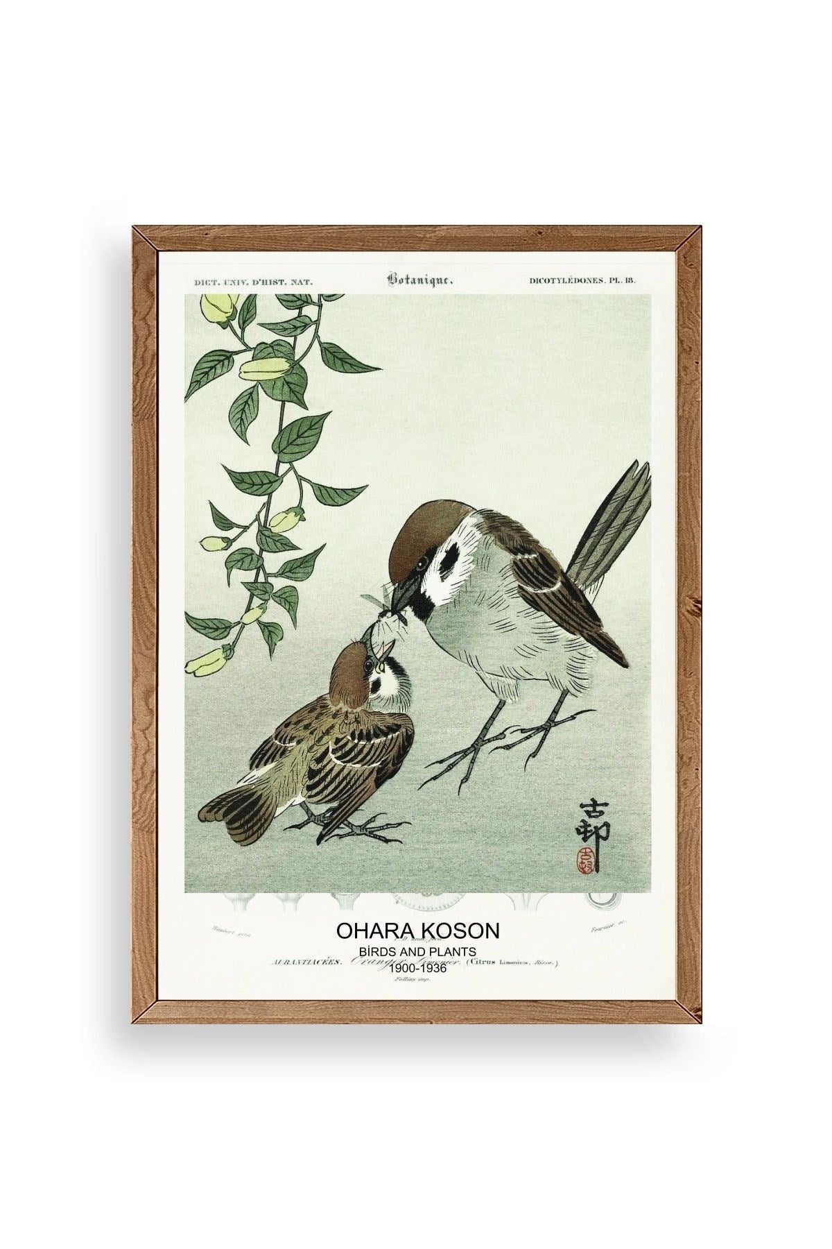 Kuşlar Ahşap Çerçeveli Tablo 17 x 23