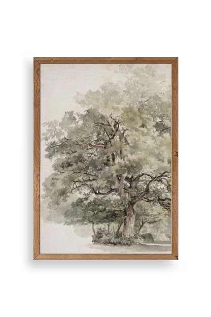 Ağaç Ahşap Çerçeveli Tablo 50 x 70