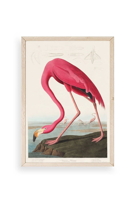 Flamingo Ahşap Çerçeveli Tablo 17 x 23