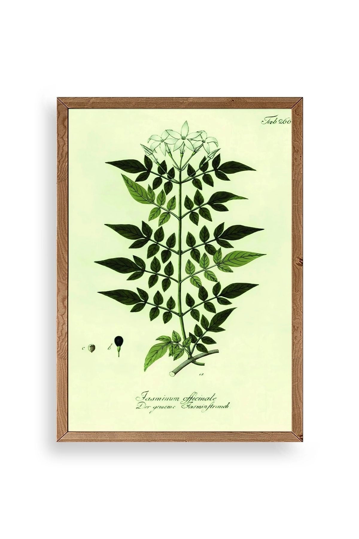 Yapraklar Ahşap Çerçeveli Tablo 50 x 70