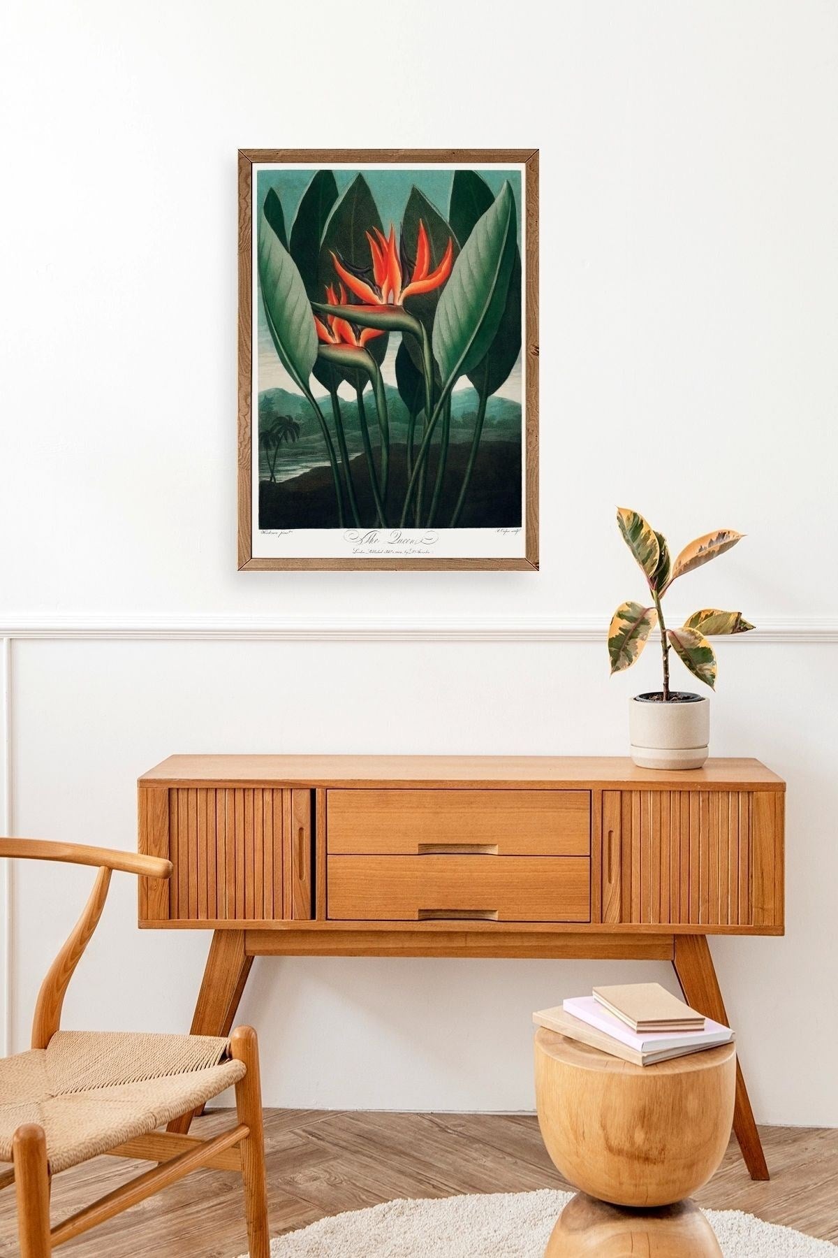 The Queen Plant Ahşap Çerçeveli Tablo 30 x 42