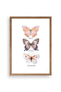 Kelebekler Ahşap Çerçeveli Tablo 30 x 42