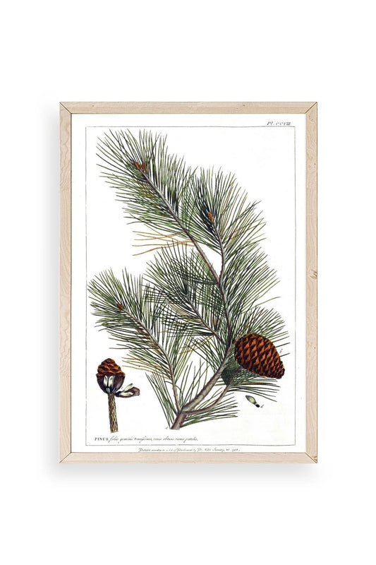 Çam Ahşap Çerçeveli Tablo 23 x 30