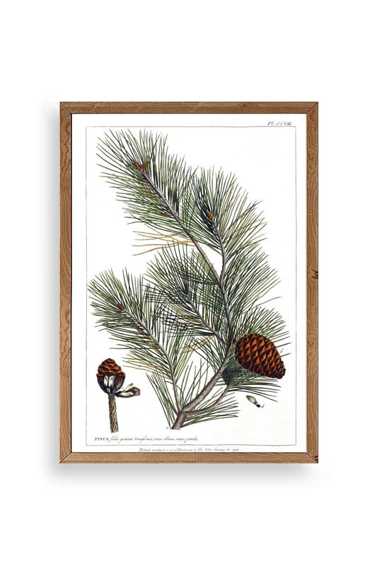 Çam Ahşap Çerçeveli Tablo 30 x 42