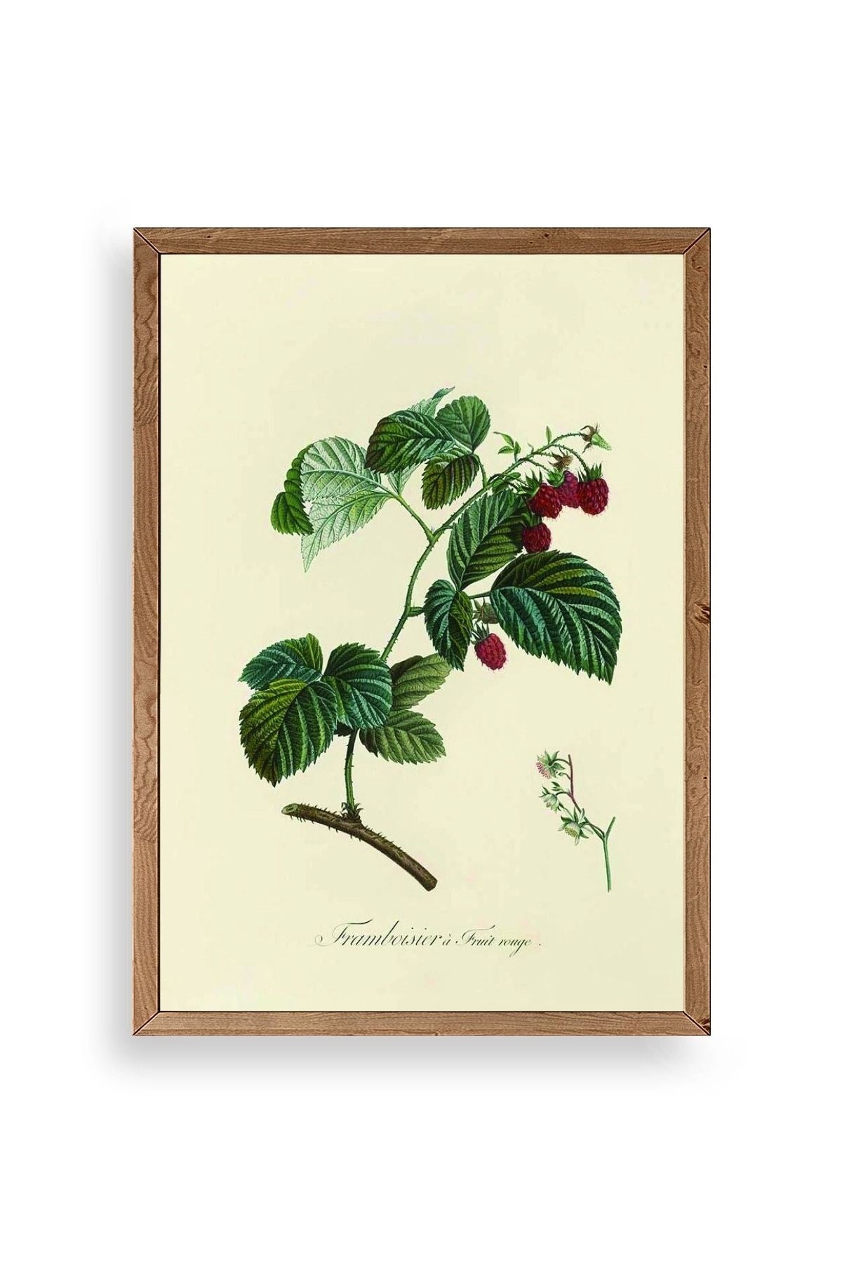 Yaprak Ahşap Çerçeveli Tablo 17 x 23