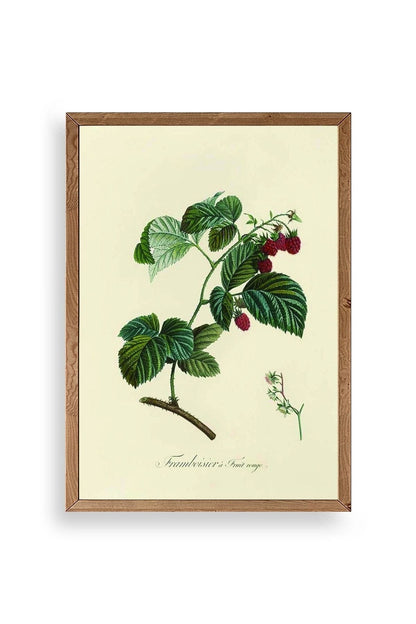 Yaprak Ahşap Çerçeveli Tablo 17 x 23