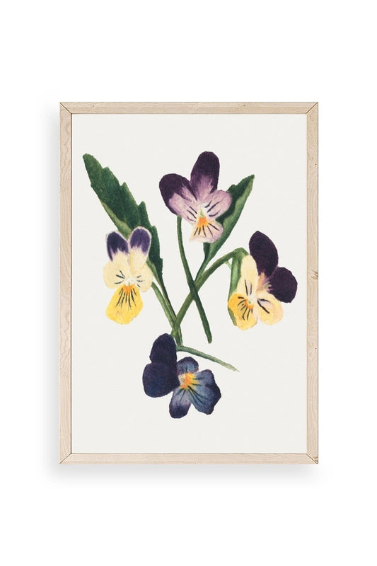 Çiçekler Ahşap Çerçeveli Tablo 23 x 30