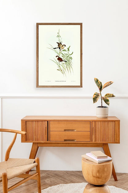 Kuşlar Ahşap Çerçeveli Tablo 50 x 70