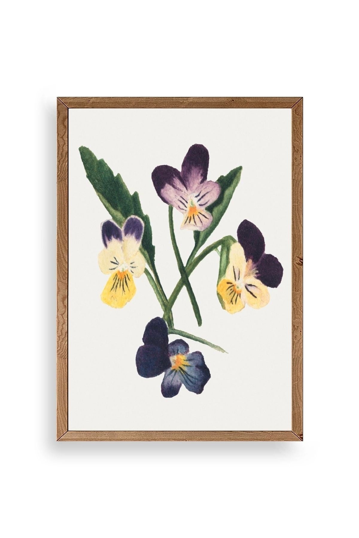 Çiçekler Ahşap Çerçeveli Tablo 23 x 30