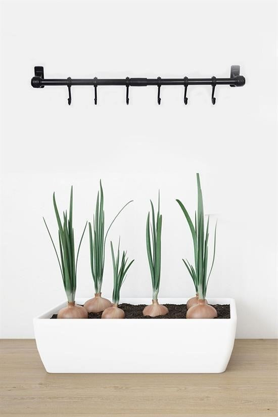 BUFFER® Duvara Monte Edilen 6 Kancalı Dekor Kaşıklık ve Kupa Askısı