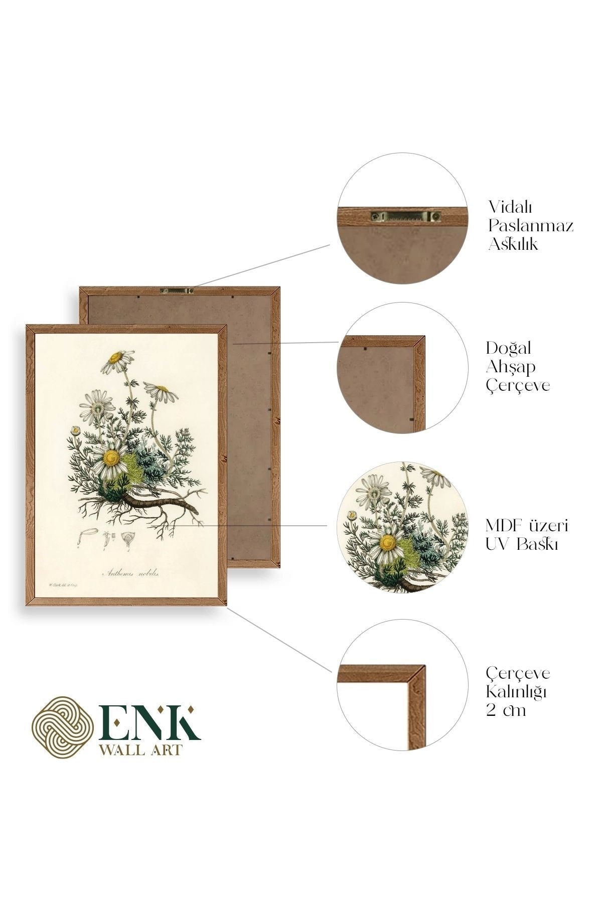 Papatya Ahşap Çerçeveli Tablo 50 x 70