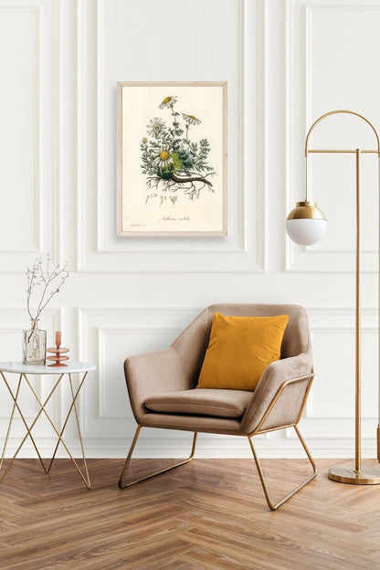 Papatya Ahşap Çerçeveli Tablo 17 x 23