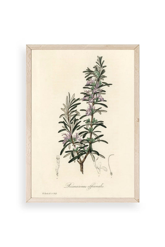 Yaprak Ahşap Çerçeveli Tablo 23 x 30