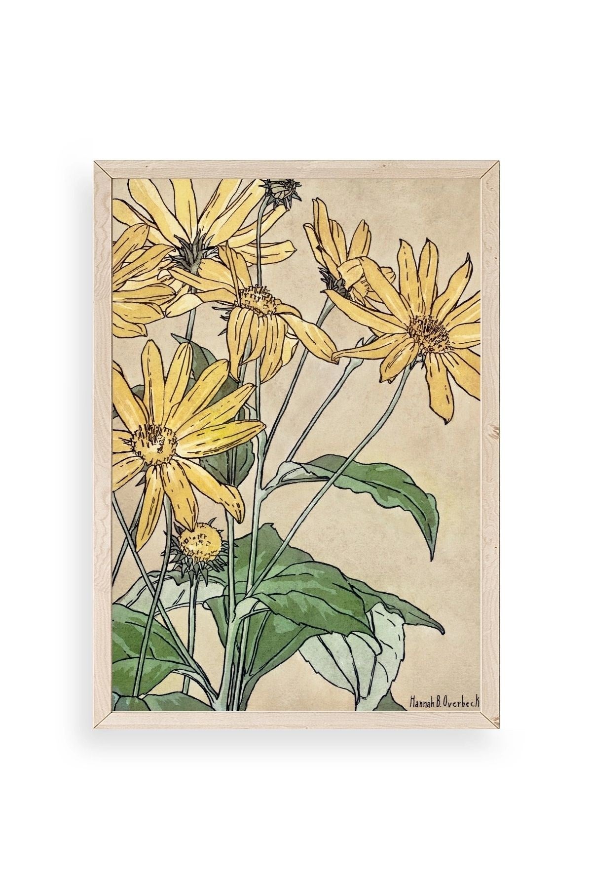 Hannah Borger Ahşap Çerçeveli Tablo 17 x 23