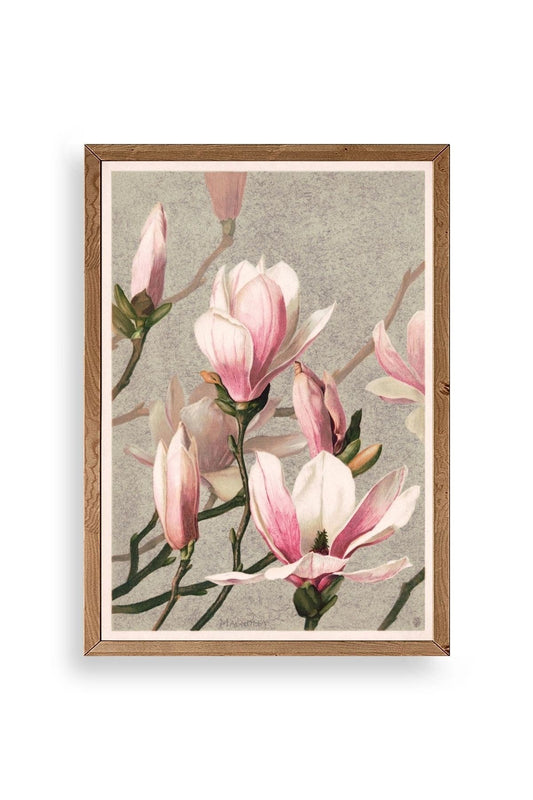Magnolia Flowers Ahşap Çerçeveli Tablo 50 x 70