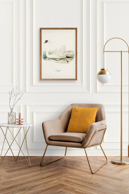 Kuğu Ahşap Çerçeveli Tablo 23 x 30