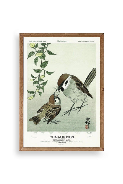 Kuşlar Ahşap Çerçeveli Tablo 23 x 30