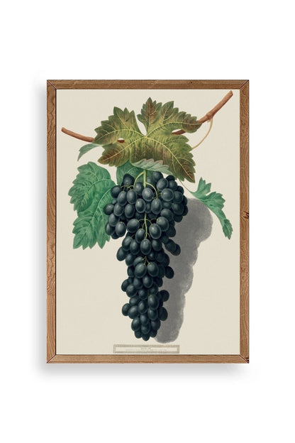 Üzüm Ahşap Çerçeveli Tablo 30 x 42