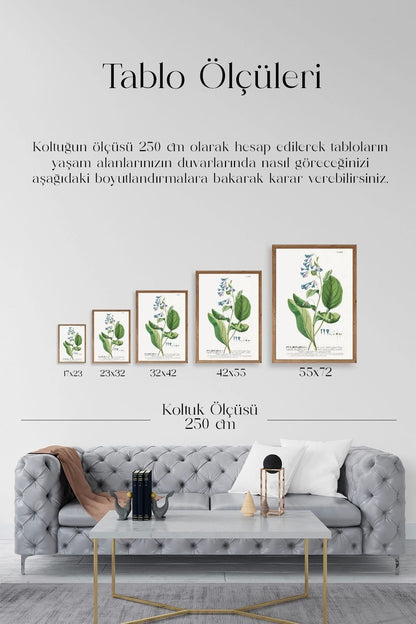 Pvlmonarla Ahşap Çerçeveli Tablo 30 x 42