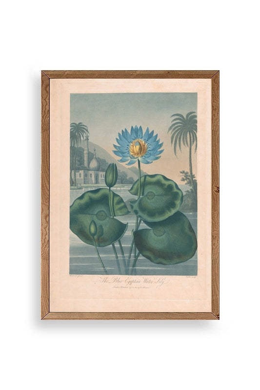 Joseph Constantine Ahşap Çerçeveli Tablo 30 x 42