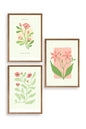 Botanik Üçlü Ahşap Çerçeveli Tablo 40 x 60