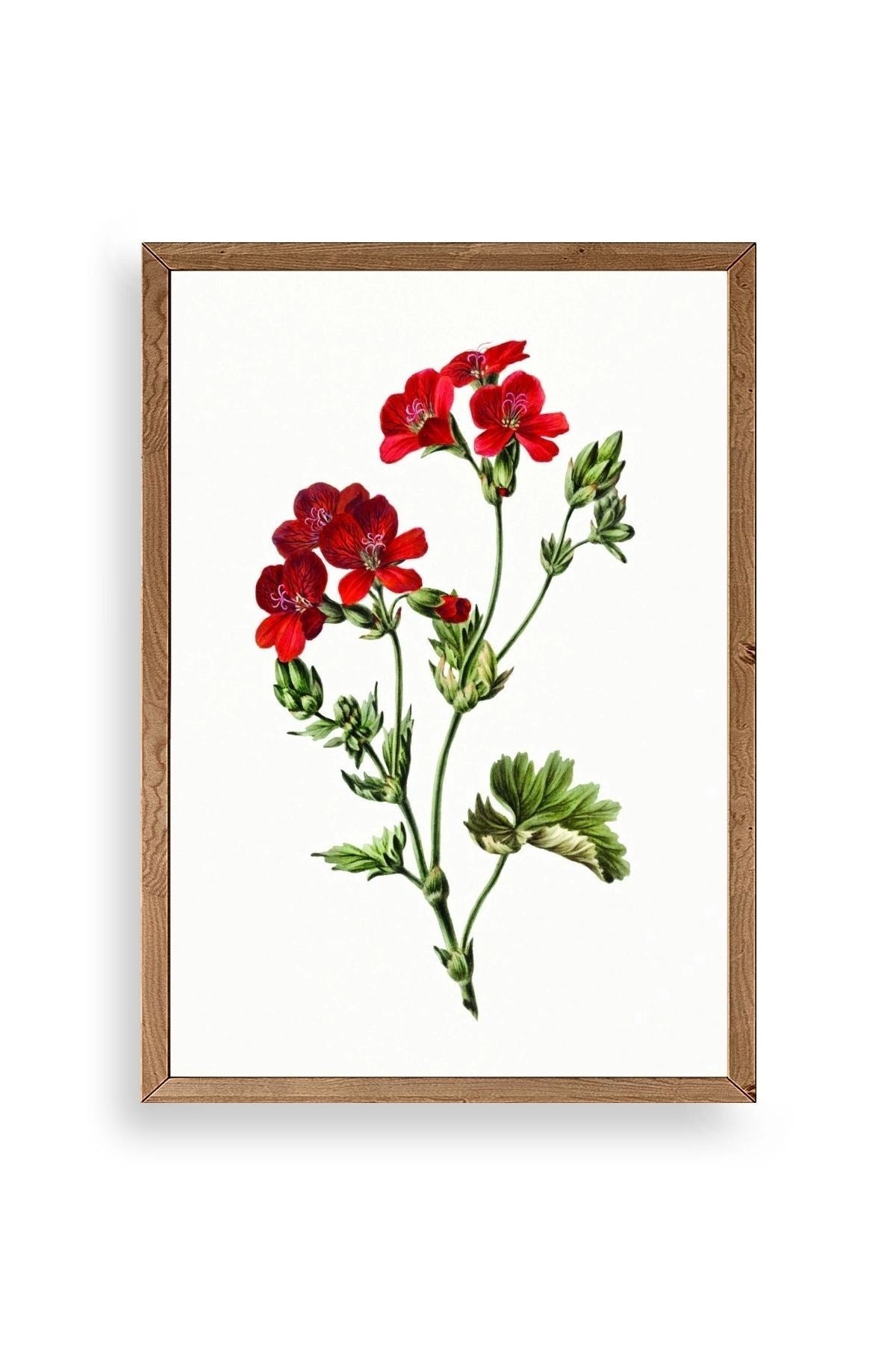 Çiçekler Ahşap Çerçeveli Tablo 17 x 23