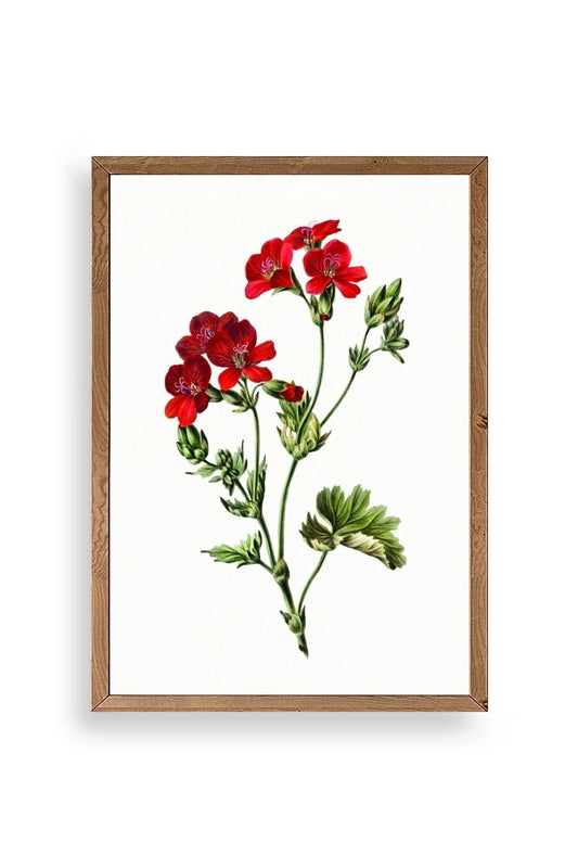 Çiçekler Ahşap Çerçeveli Tablo 17 x 23