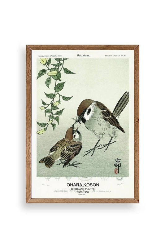 Kuşlar Ahşap Çerçeveli Tablo 50 x 70