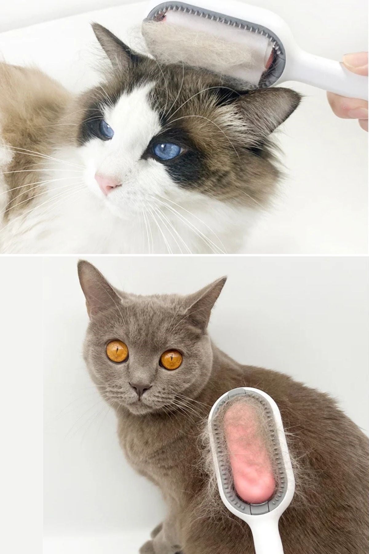 BUFFER® Su Hazneli Kedi ve Köpek Tüyü Toplamama Fırçası Su Hazneli Pet Tarağı