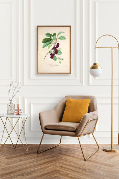 Meyveler Ahşap Çerçeveli Tablo 50 x 70