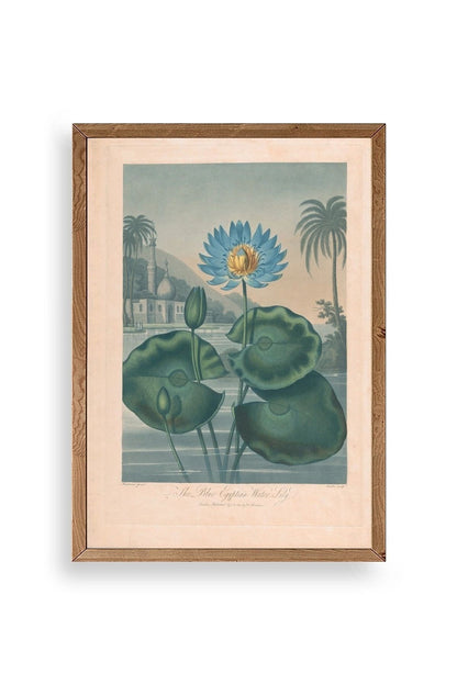 Joseph Constantine Ahşap Çerçeveli Tablo 17 x 23