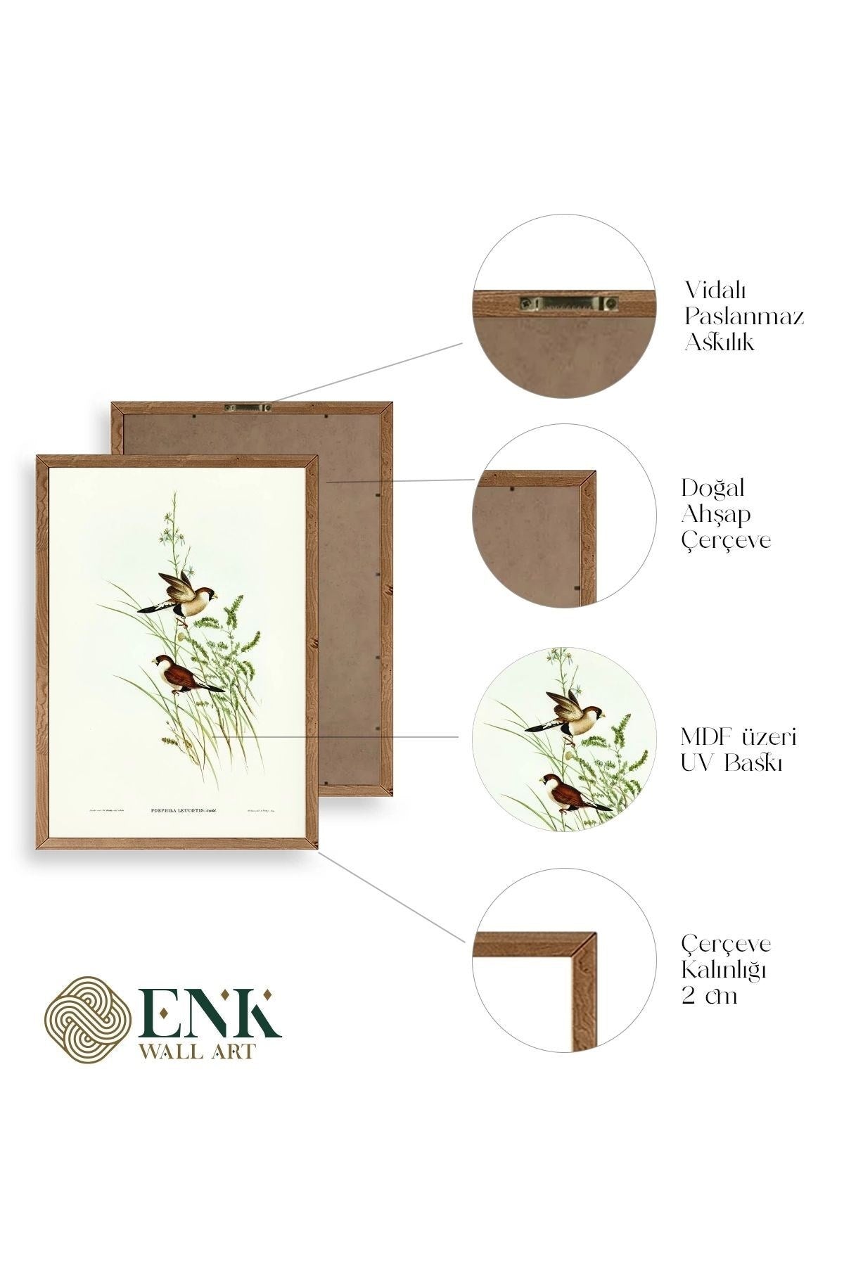 Kuşlar Ahşap Çerçeveli Tablo 50 x 70