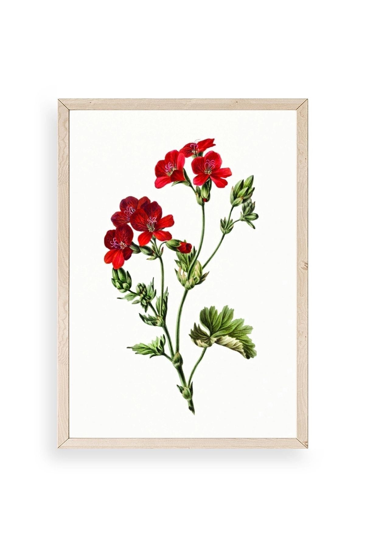 Çiçekler Ahşap Çerçeveli Tablo 30 x 42