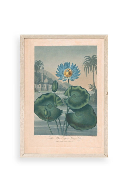 Joseph Constantine Ahşap Çerçeveli Tablo 23 x 30