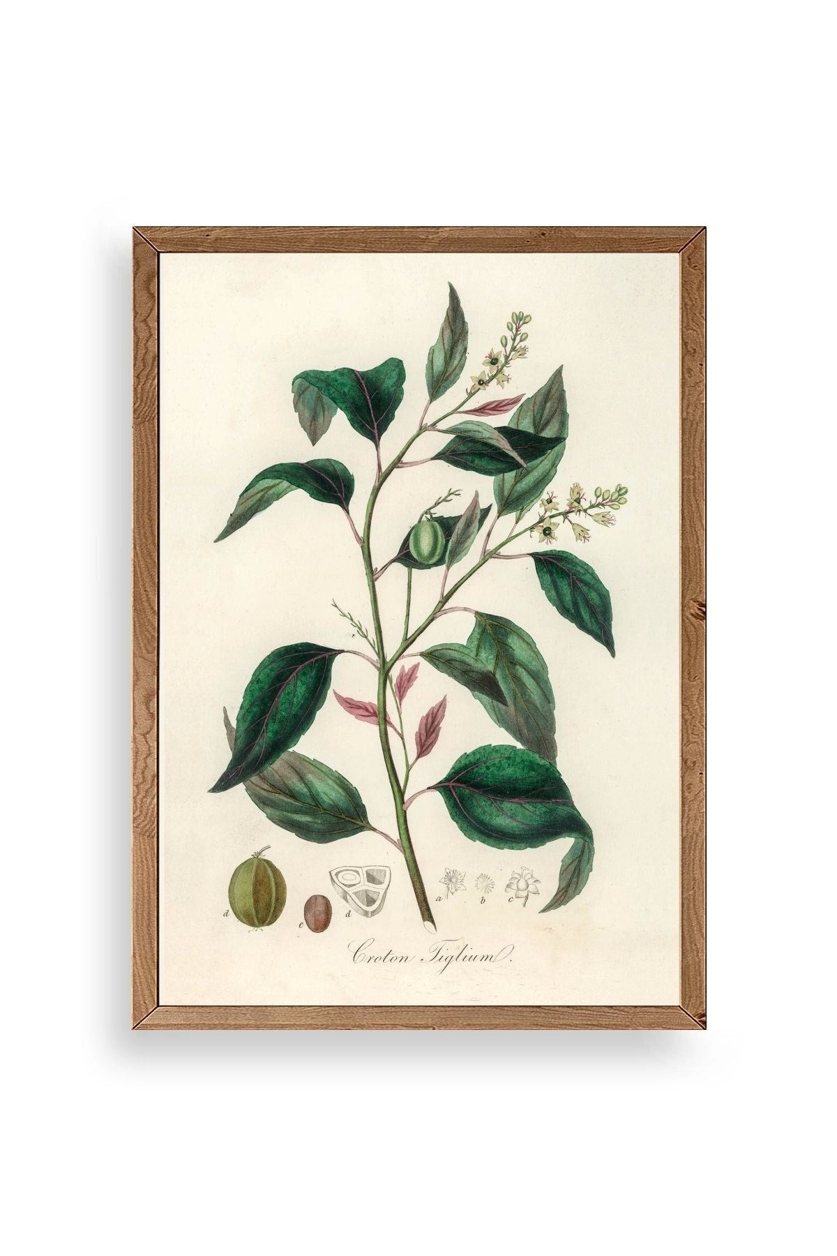 Yaprak Ahşap Çerçeveli Tablo 30 x 42