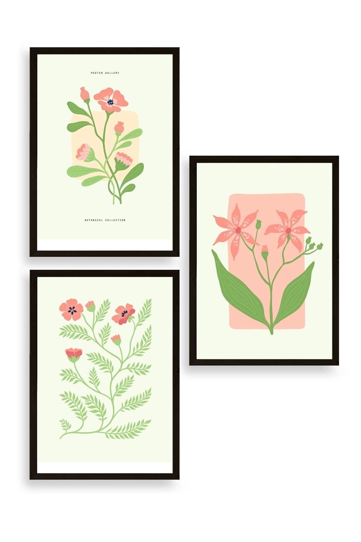 Botanik Üçlü Ahşap Çerçeveli Tablo 50 x 70