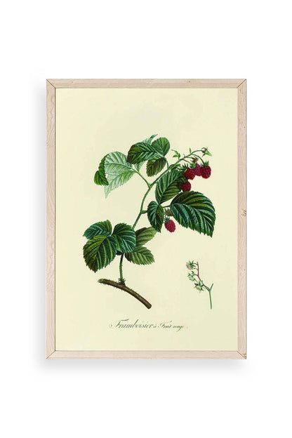 Yaprak Ahşap Çerçeveli Tablo 23 x 30