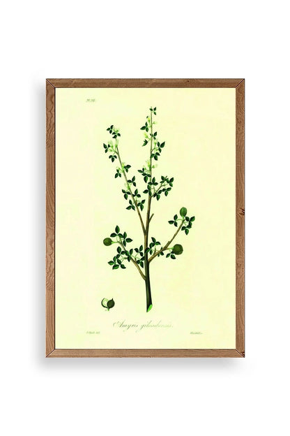 Yapraklar Ahşap Çerçeveli Tablo 50 x 70