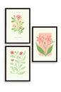 Botanik Üçlü Ahşap Çerçeveli Tablo 40 x 60