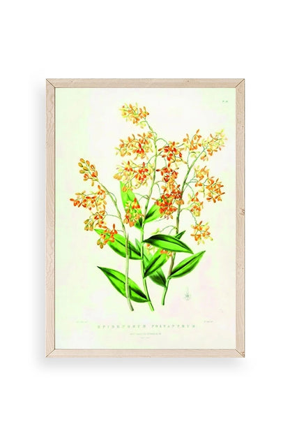 Çiçek Ahşap Çerçeveli Tablo 30 x 42