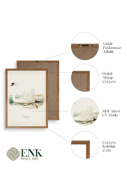 Kuğu Ahşap Çerçeveli Tablo 23 x 30